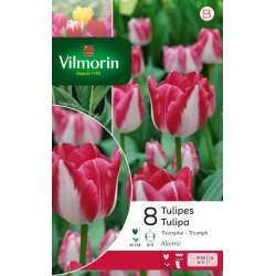 VILMORIN TULIPES Triomphe...