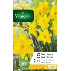 VILMORIN NARCISSES...