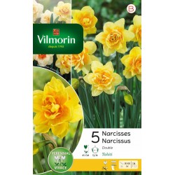 VILMORIN NARCISSES Double...