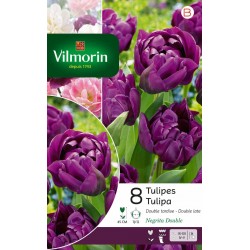 VILMORIN TULIPES Double...