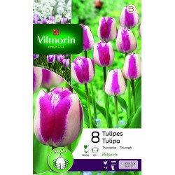 VILMORIN TULIPES Triomphe...