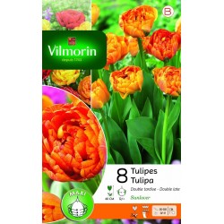 VILMORIN TULIPES Double...