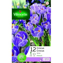 VILMORIN CROCUS Vernus...