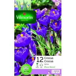 VILMORIN CROCUS Vernus...