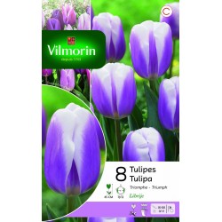 VILMORIN TULIPES Triomphe...