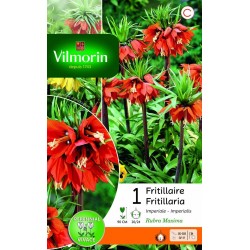 VILMORIN FRITILLAIRE...