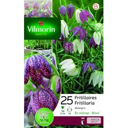 VILMORIN FRITILLAIRES...