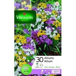 VILMORIN ALLIUMS Nain En...