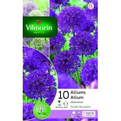 VILMORIN ALLIUMS...