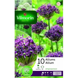 VILMORIN ALLIUMS...