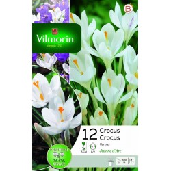 VILMORIN CROCUS Vernus...