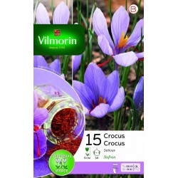 VILMORIN CROCUS Sativus...