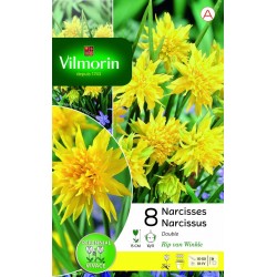 VILMORIN NARCISSES Double...