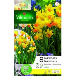 VILMORIN NARCISSES...