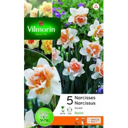 VILMORIN NARCISSES Double...