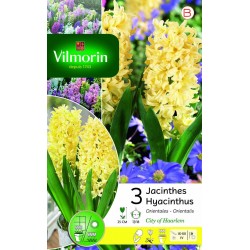 VILMORIN JACINTHES...