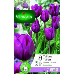 VILMORIN TULIPES Triomphe...