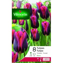 VILMORIN TULIPES Triomphe...