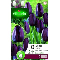 VILMORIN TULIPES Simple...