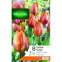 VILMORIN TULIPES Triomphe...