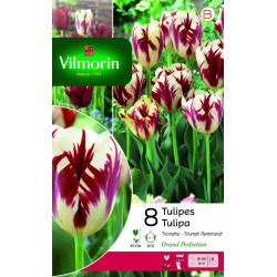 VILMORIN TULIPES Triomphe...