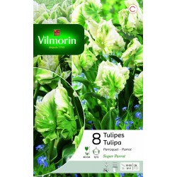 VILMORIN TULIPES Perroquet...