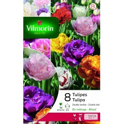 VILMORIN TULIPES Double...