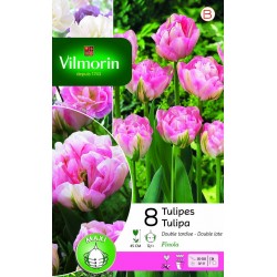 VILMORIN TULIPES Double...