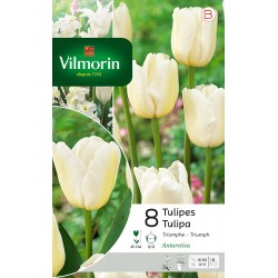 VILMORIN TULIPES Triomphe...