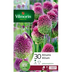 VILMORIN ALLIUMS...