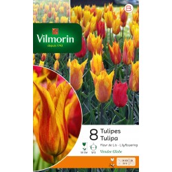 VILMORIN TULIPES fleur de...