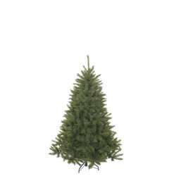 Sapin Bristlecone Vert En...