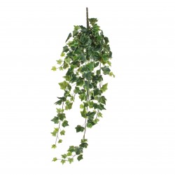 Chute De Lierre Vert/Blanc...