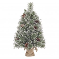 Sapin Vandans Pomme De Pin...