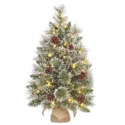 Sapin Vandans Pomme De Pin...