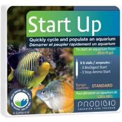 Start up 6 ampoules