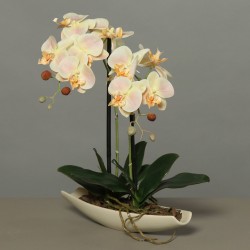 Orchidee Coupe Céramique...