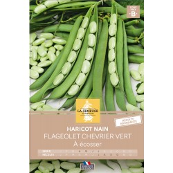 Graines Haricot Nain À...
