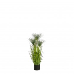 Papyrus En Pot Vert En Pvc...