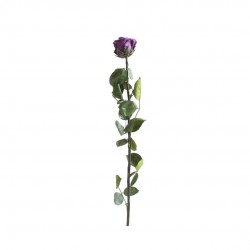 Rose Stabilisee Purple-Ø6-H50