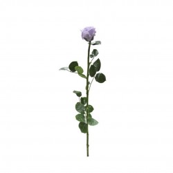 Rose Stabilisee Lilas-Ø6-H50