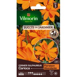 VILMORIN SUCCÈS DU...