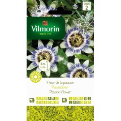 VILMORIN ORIGINALES-FLEUR...