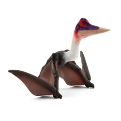 Quetzalcoatlus Dinosaurs...