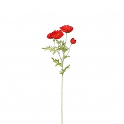 Tige De Coquelicot Rouge En...