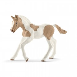 Poulain Paint Horse Horse...