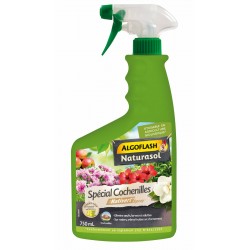 Pulvérisateur insecticide...