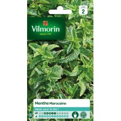 VILMORIN MENTHE Marocaine...