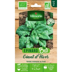 VILMORIN ÉPINARD BIO Géant...