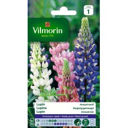 VILMORIN LUPIN Annuel Varié...